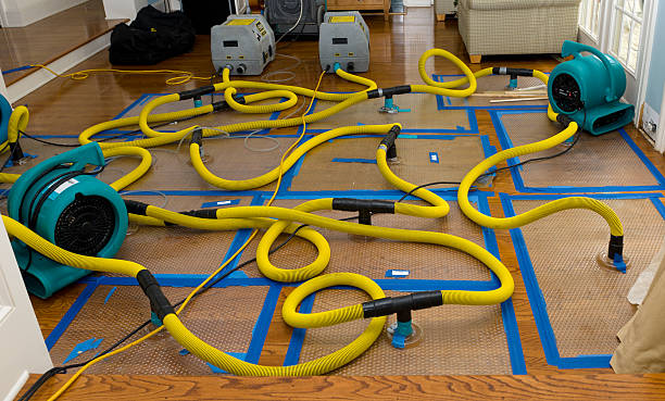 Professional Sewage Cleanup technician working in Hillsborough, CA